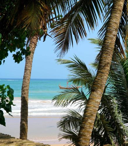 Busua Bed & Breakfast | Busua Inn