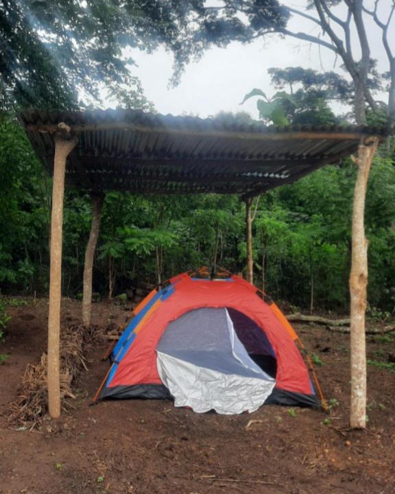 Togo Other | Felicity Cos camping