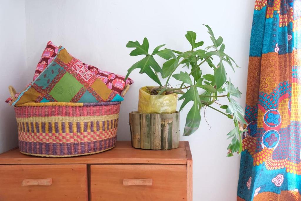 Osu Apartment | Spacious Oasis in Osu's Grove of Trees