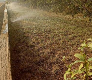 Wa Apartment | BeautyByNature Estate - Garden View, Starlink Internet & Vegetarian Meals
