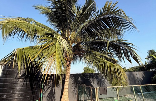 Dzorwulu Apartment | Cozy 1-bedroom apartment near beach & airport