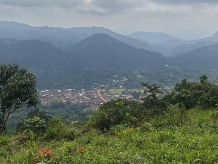 Togo House | Felicity Cos camping