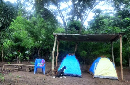 Togo House | Felicity Cos camping