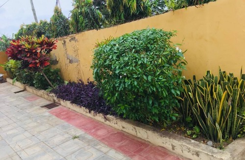 Tema Bed & Breakfast | Mcari Guest House; A Home Away From Home New