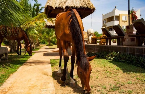 Nungua Resort | The C Resort & Residences