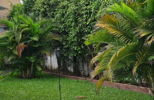 Teshie House | The Escape Ghana - Ivory Villa