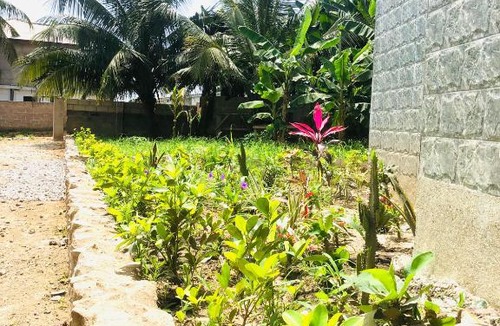 Elmina Cabin | The Green Condo