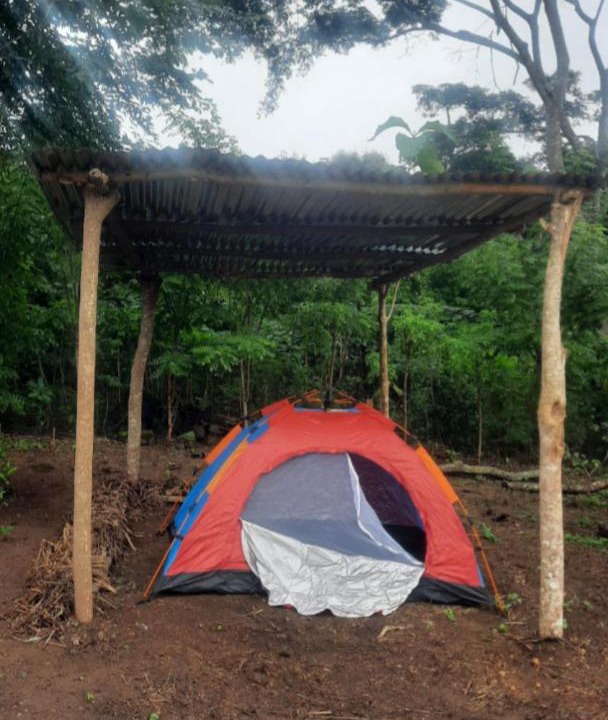 Togo Other | Felicity Cos camping