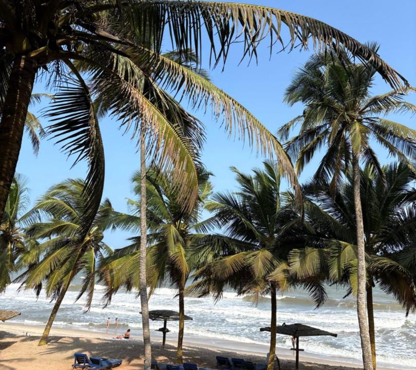 Senya Beraku Hotel | Sunflower Beach Resort