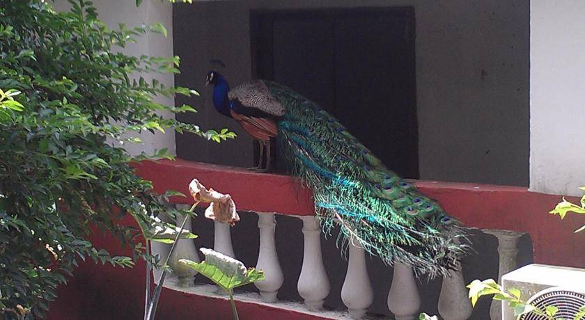 Photo of Patio Balcony in James Town