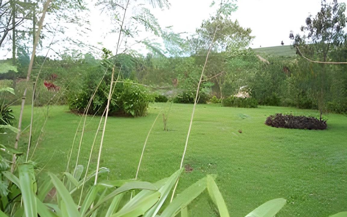 Photo of Others in James Town