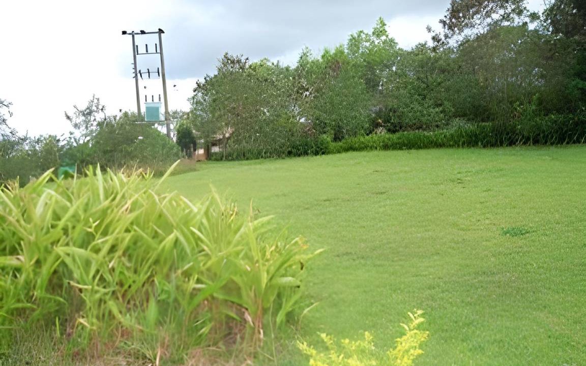 Photo of Others in James Town