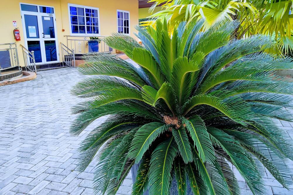 Photo of Outdoor in Kubease