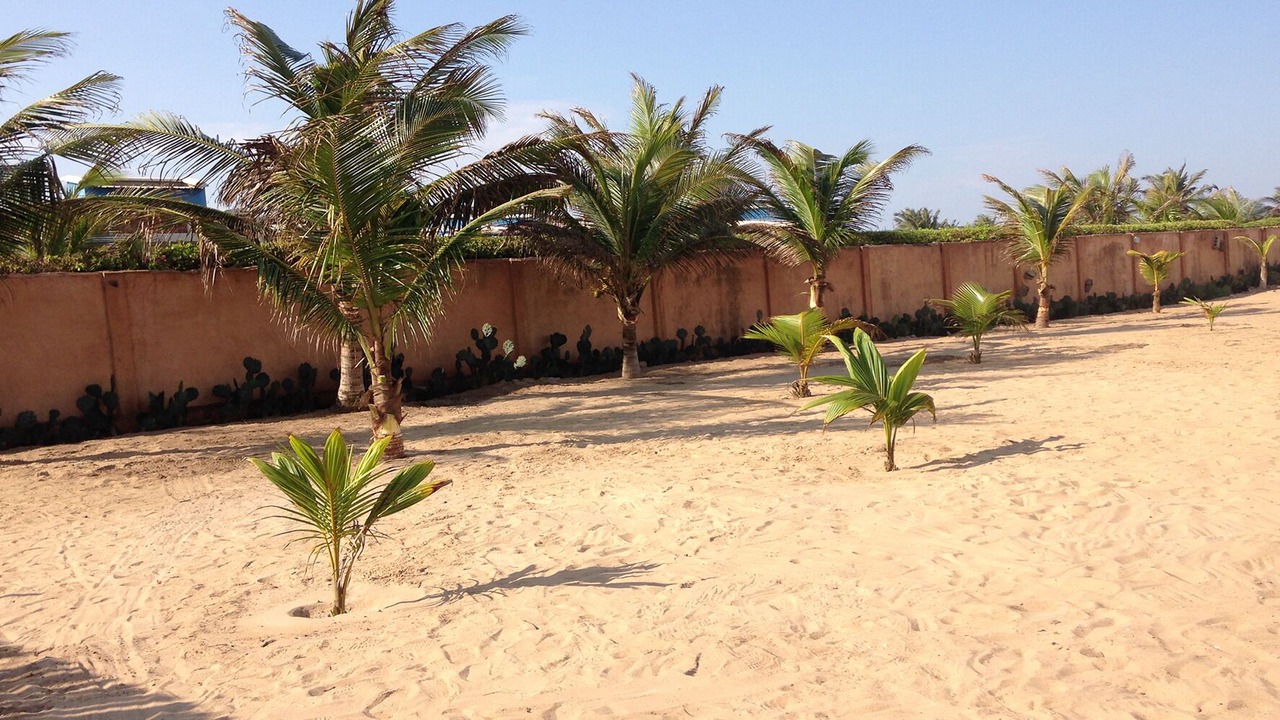 Photo of Outdoor in Lome