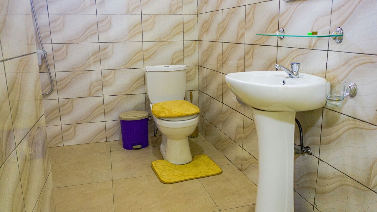 Photo of Bathroom in Jomoro