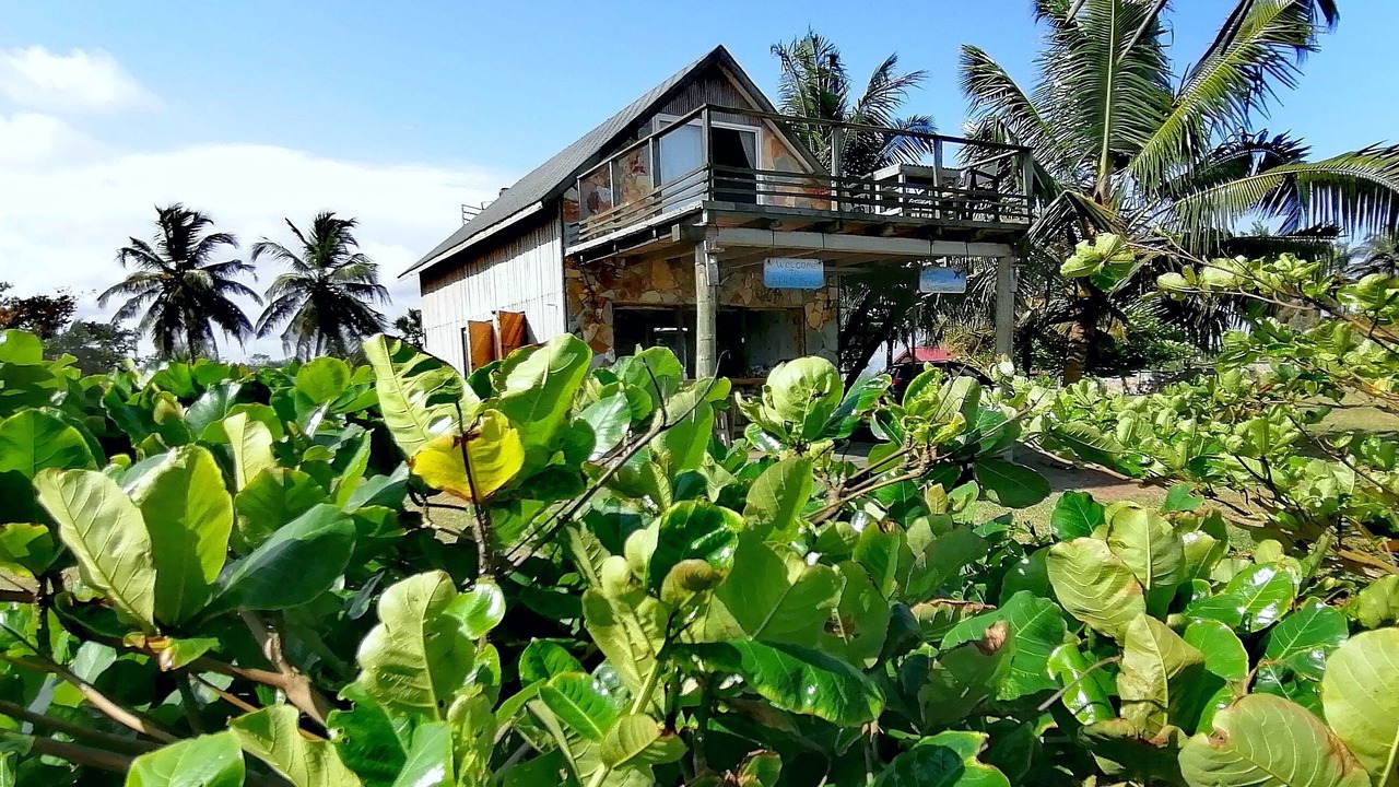 Photo of Outdoor in Busua