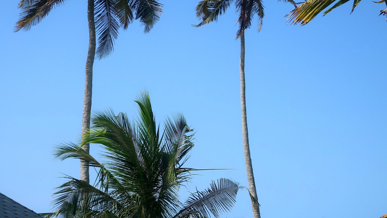 Photo of Outdoor in Busua