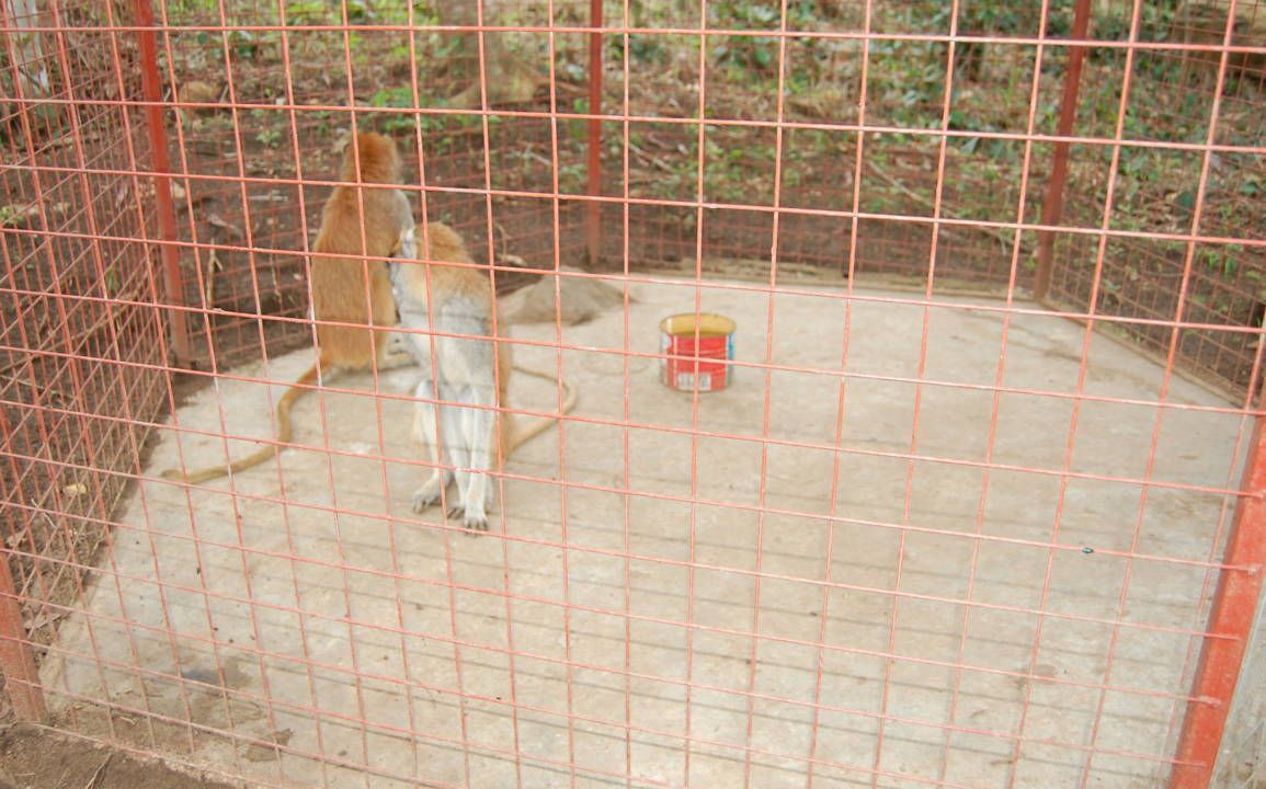 Photo of Others in Bawjiase