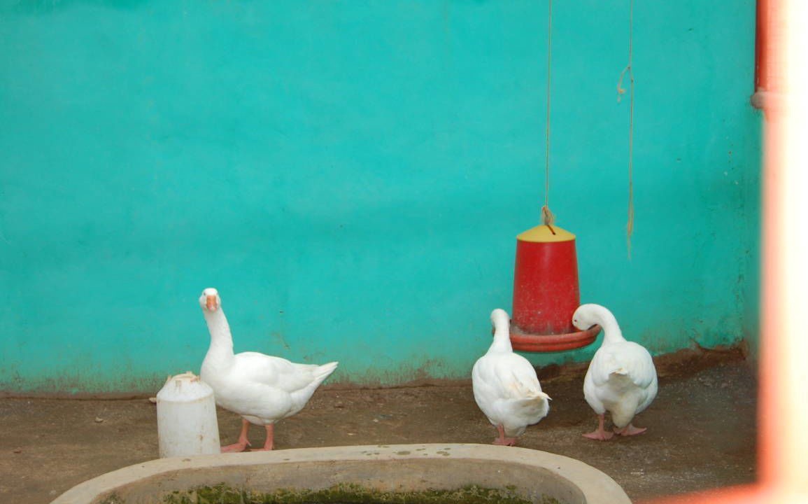 Photo of Others in Bawjiase