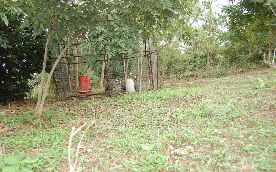 Photo of Others in Bawjiase