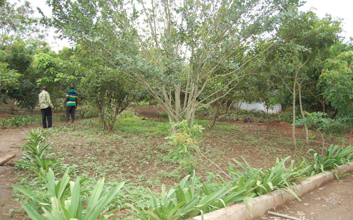 Photo of Outdoor in Bawjiase