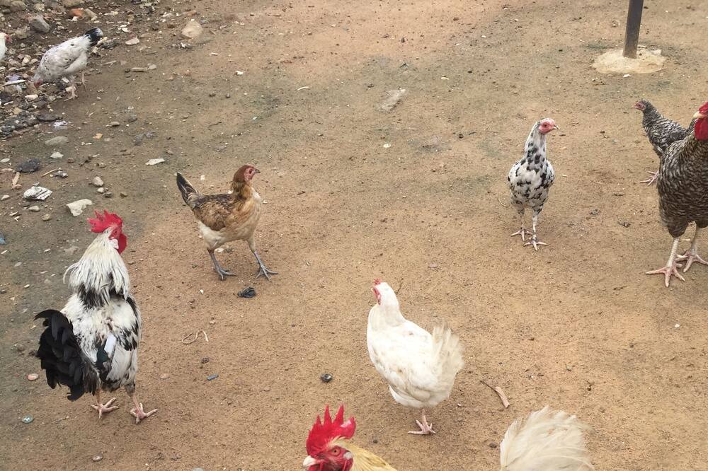 Photo of Others in Osu Klottey