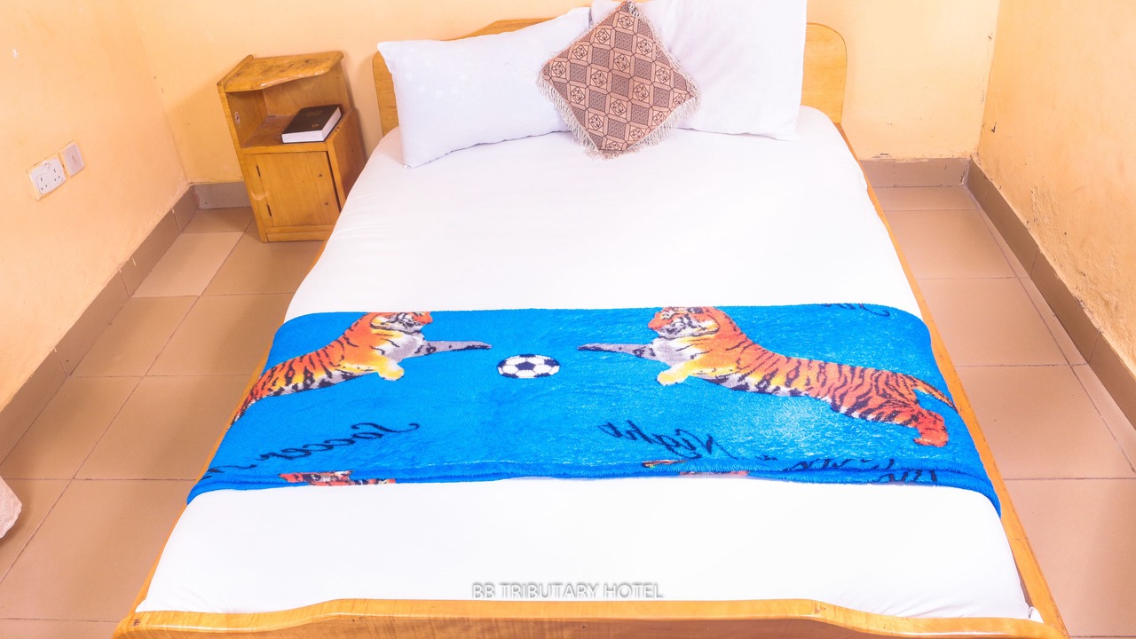 Photo of Bedroom in Akosombo