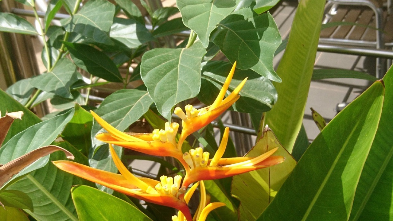 Photo of Outdoor in Accra