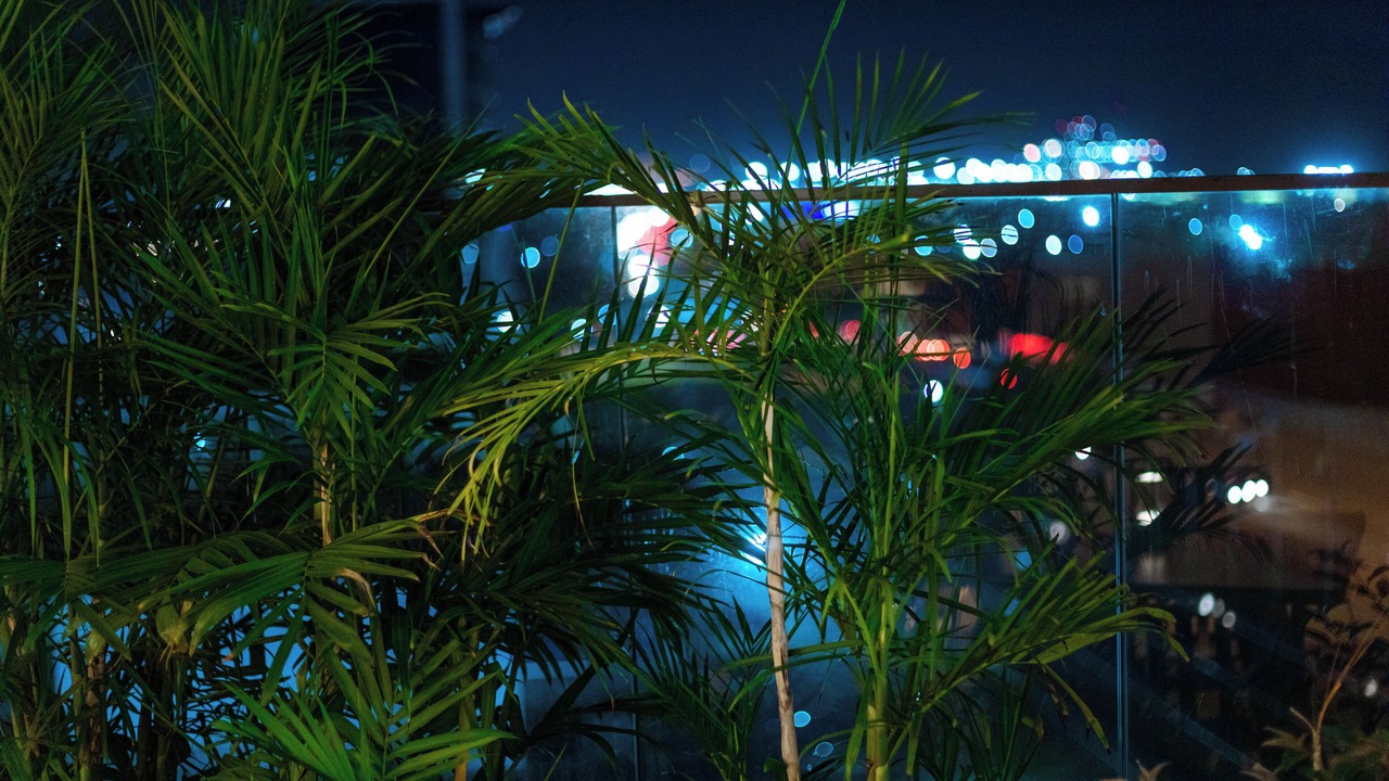 Photo of Outdoor in Lome