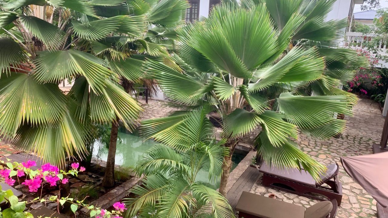 Photo of Outdoor in Osu