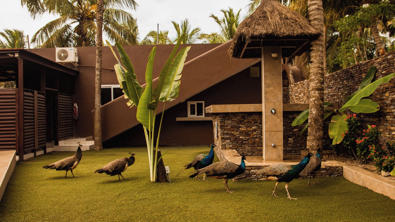 Photo of Others in Nyanyanu