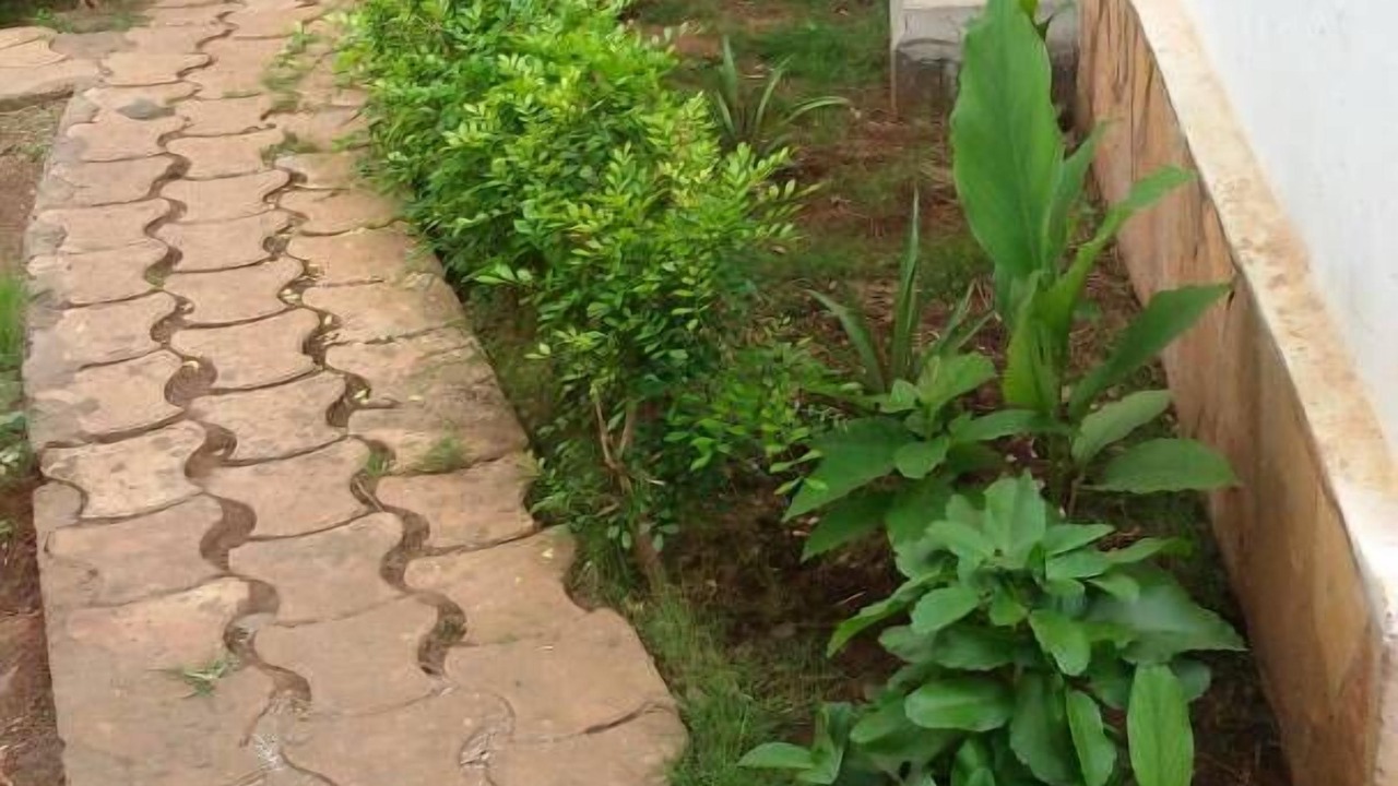 Photo of Outdoor in Lome