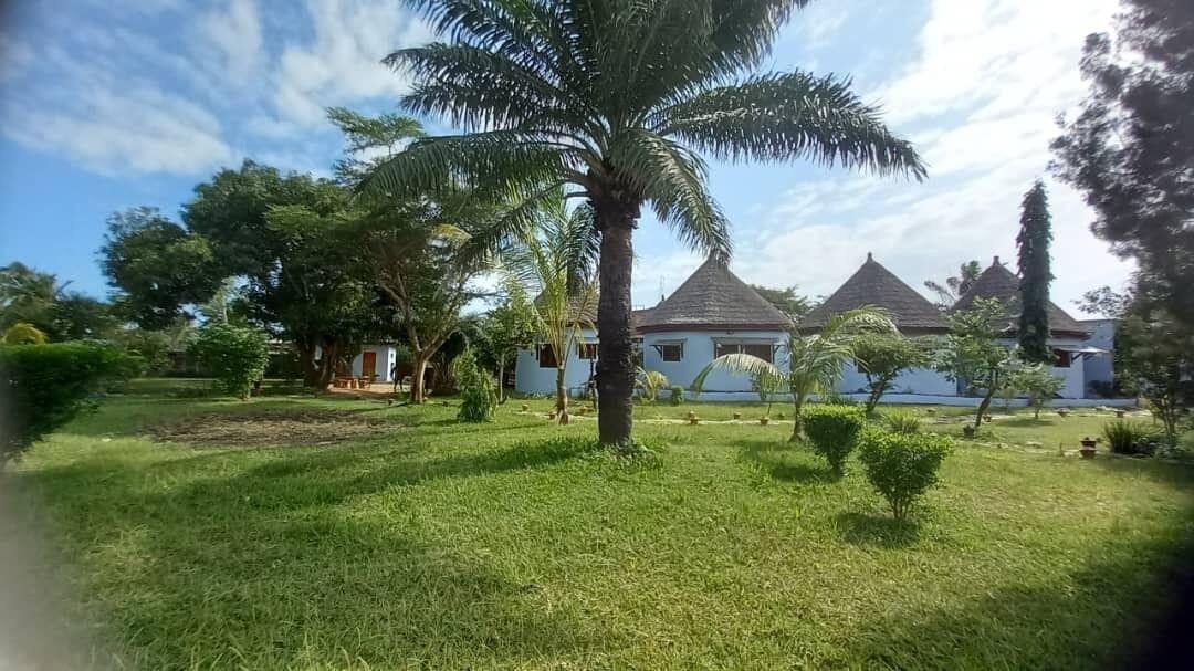 Photo of Outdoor in Ada