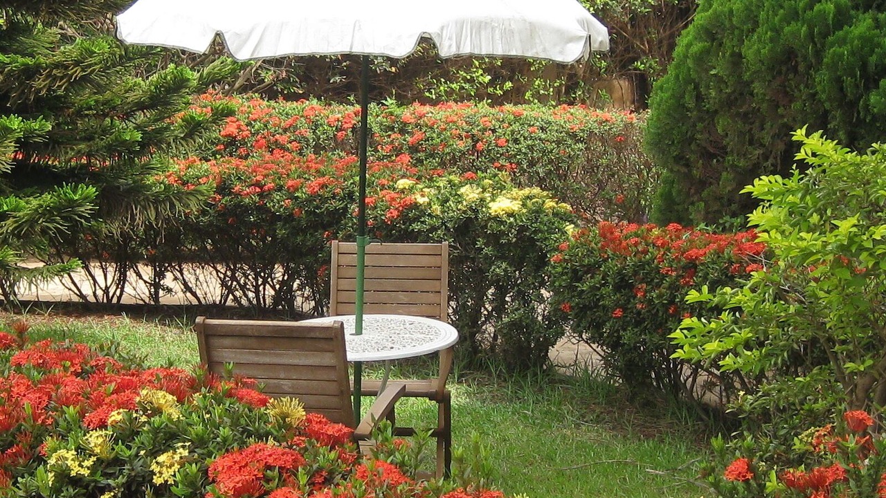 Photo of Patio Balcony in Adenta