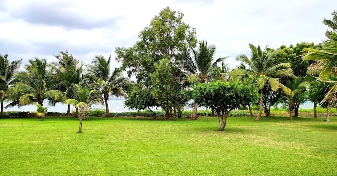 Photo of Outdoor in North Tongu