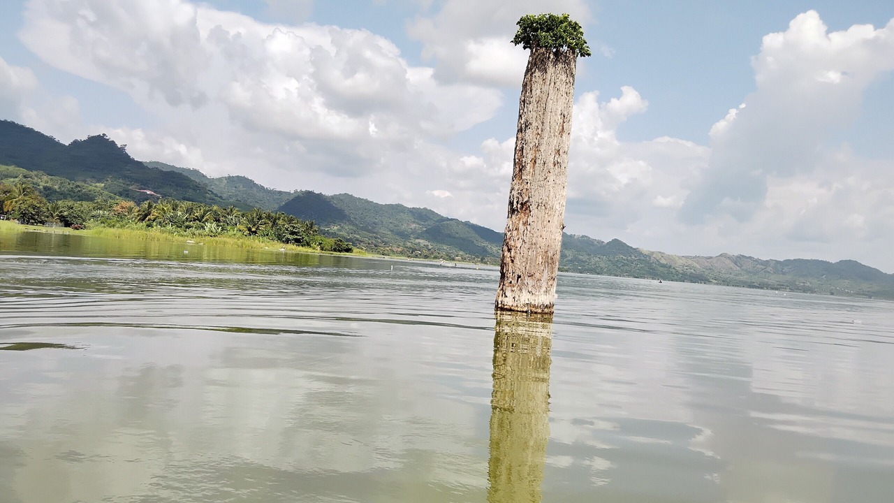 Photo of Outdoor in Kubease