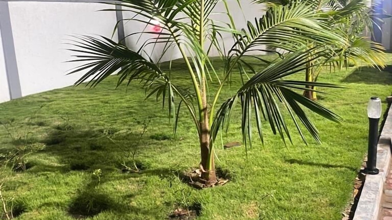 Photo of Outdoor in Agblesia