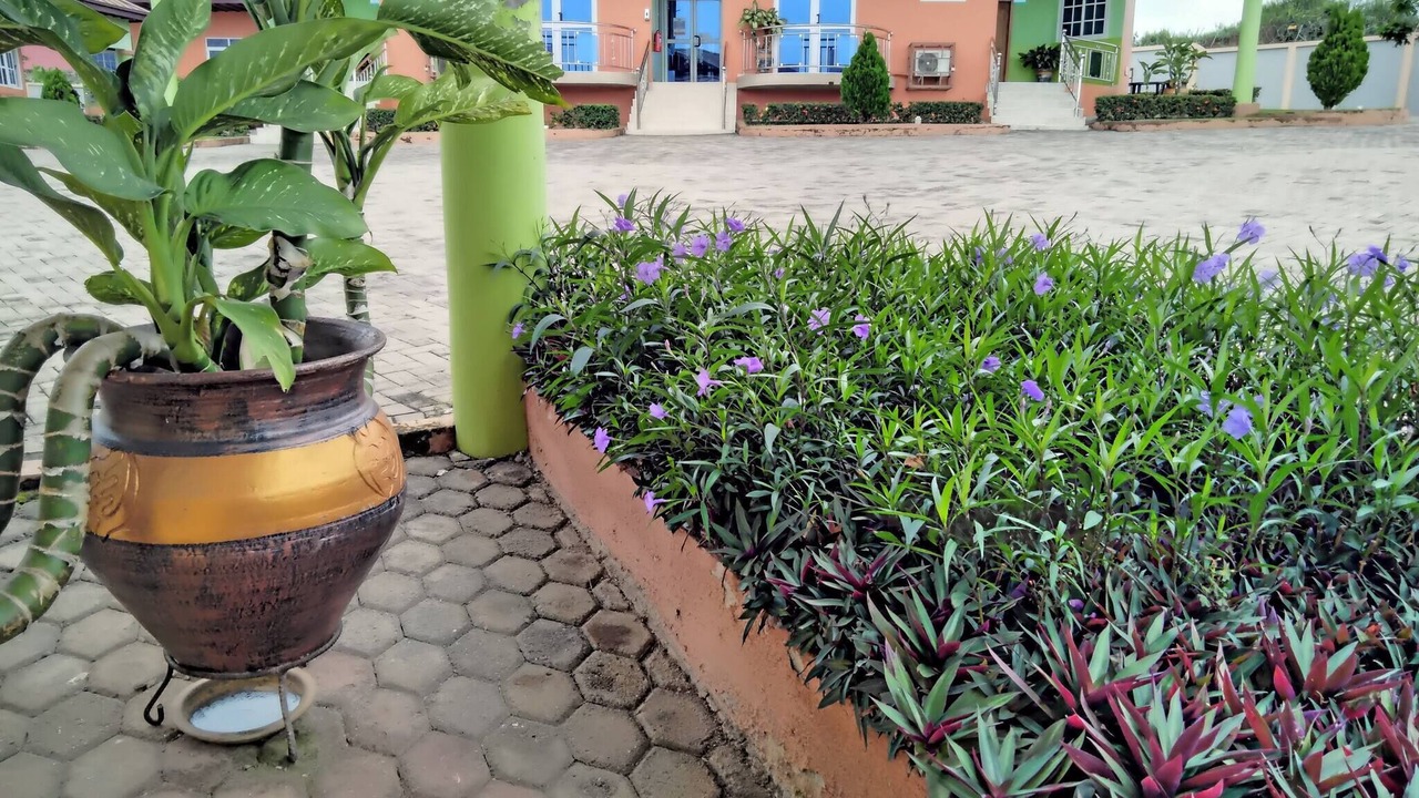 Photo of Outdoor in Tema