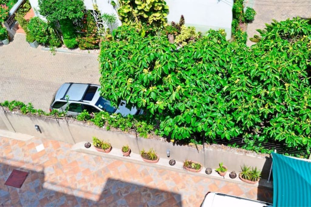 Photo of Outdoor in Kokomlemle