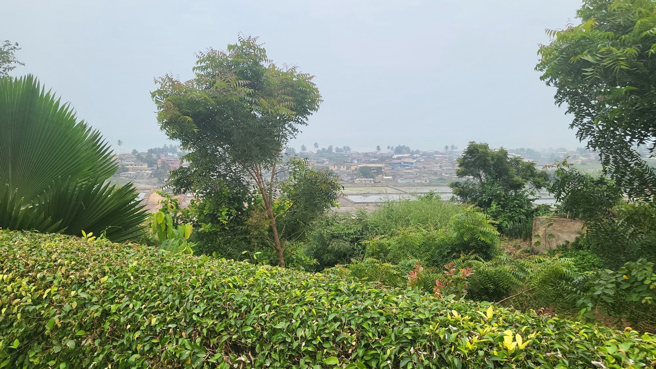 Photo of Others in Elmina