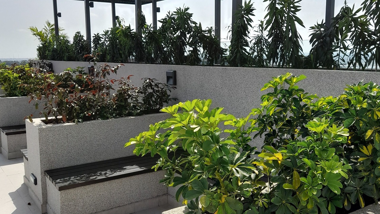 Photo of Outdoor in Accra