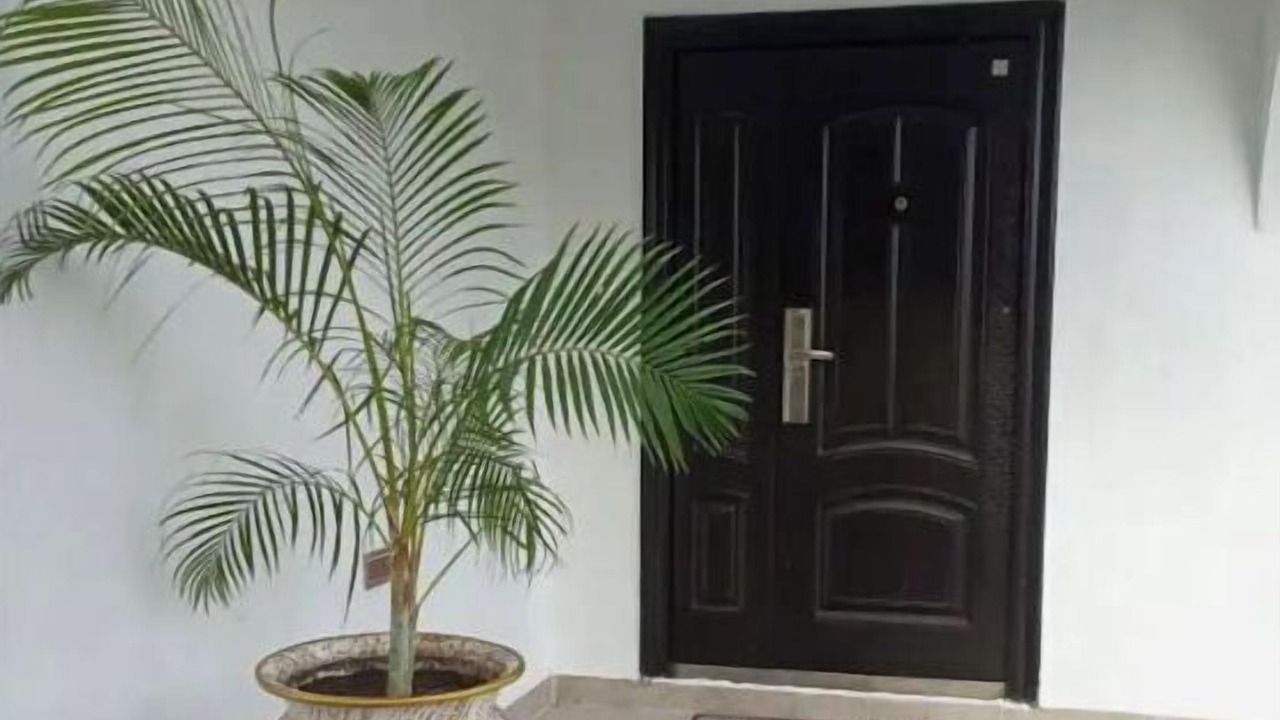 Photo of Outdoor in Winneba