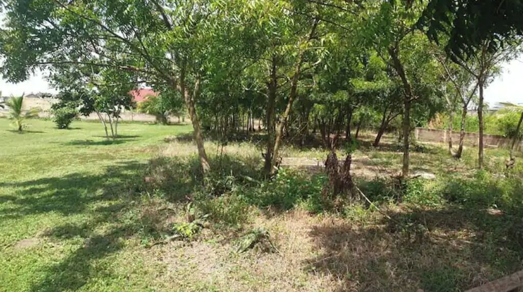 Photo of Outdoor in Winneba