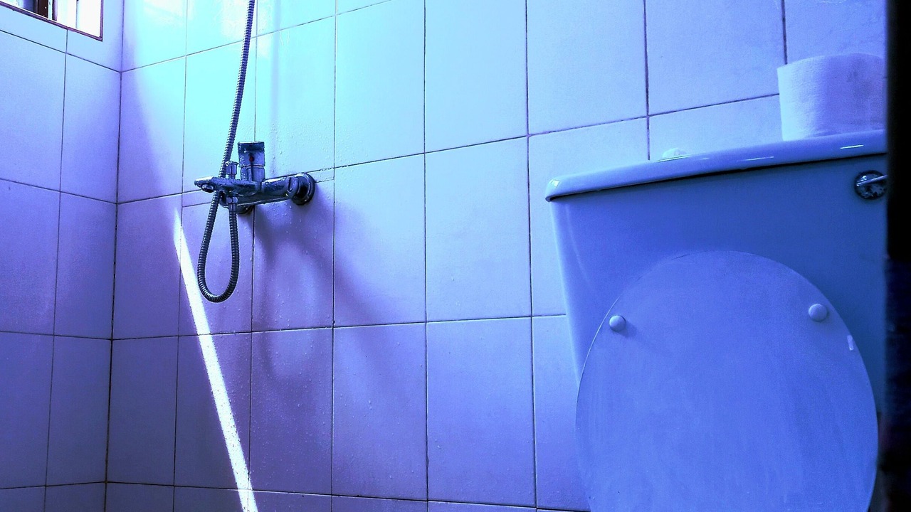 Photo of Bathroom in Osu
