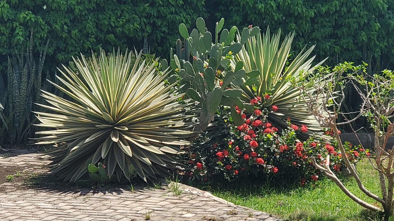 Photo of Outdoor in Sekondi-Takoradi