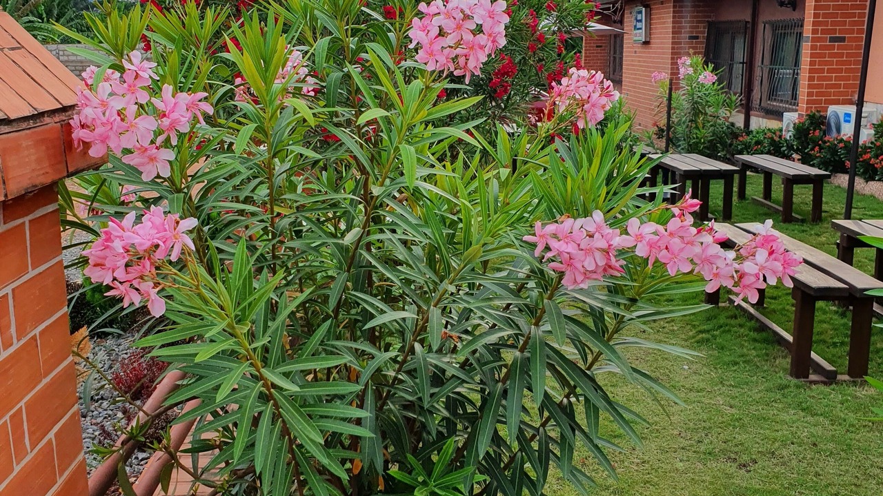 Photo of Outdoor in Atimpoku