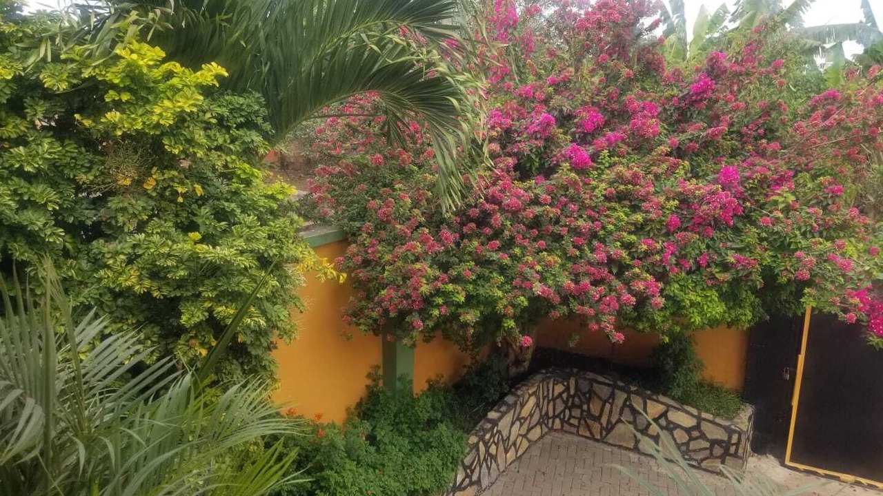 Photo of Outdoor in Nungua