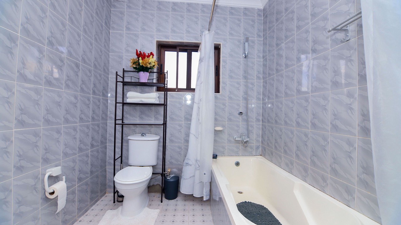 Photo of Bathroom in Agblesia
