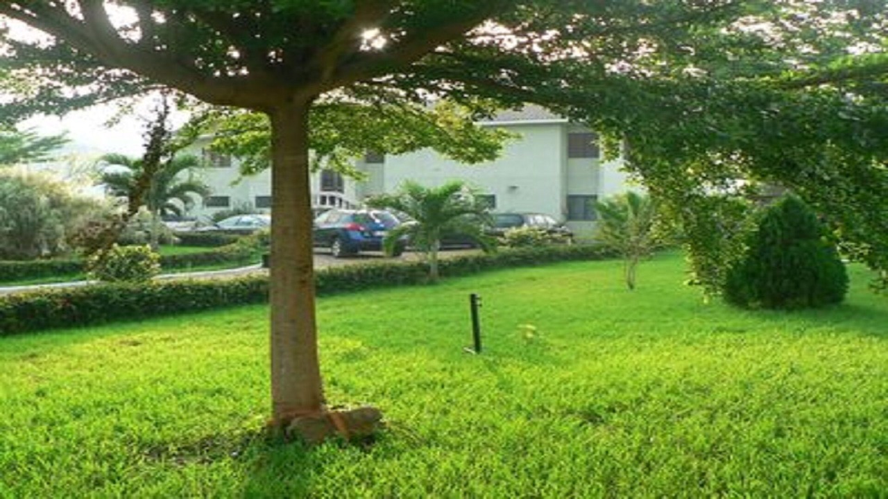 Photo of Outdoor in Pepease