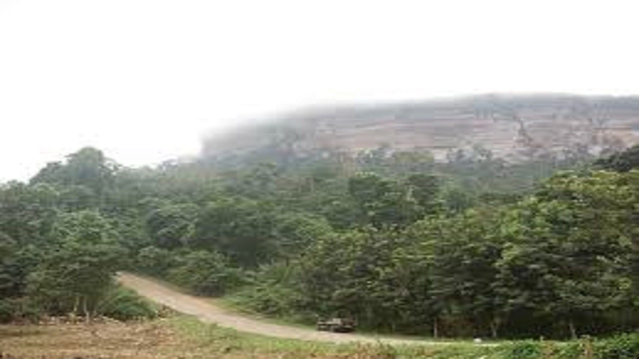 Photo of Outdoor in Pepease